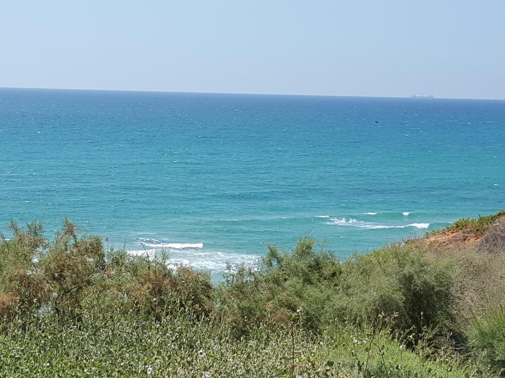 Netanya Motel Pierre المظهر الخارجي الصورة